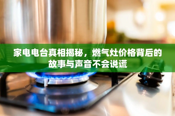 家电电台真相揭秘，燃气灶价格背后的故事与声音不会说谎