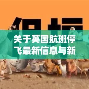 关于英国航班停飞最新信息与新冠状病毒实时动态江苏的说明文章