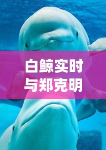 白鲸实时与郑克明书画价格解析