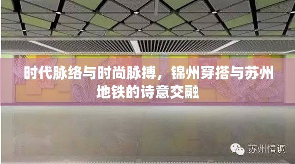 时代脉络与时尚脉搏，锦州穿搭与苏州地铁的诗意交融