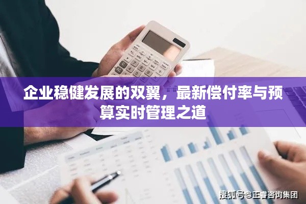 企业稳健发展的双翼，最新偿付率与预算实时管理之道