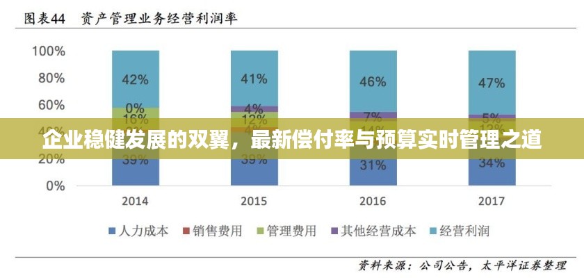 企业稳健发展的双翼,最新偿付率与预算实时管理之道