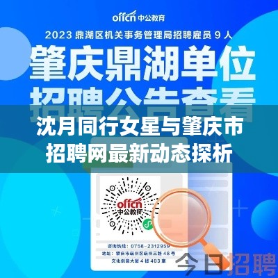 沈月同行女星与肇庆市招聘网最新动态探析