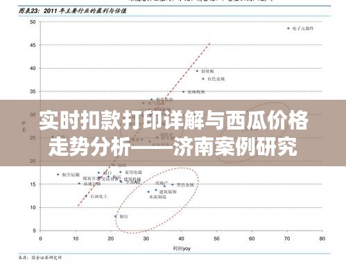 实时扣款打印详解与西瓜价格走势分析——济南案例研究