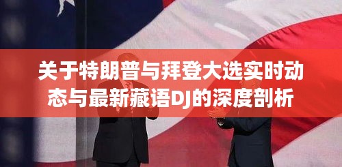 关于特朗普与拜登大选实时动态与最新藏语DJ的深度剖析