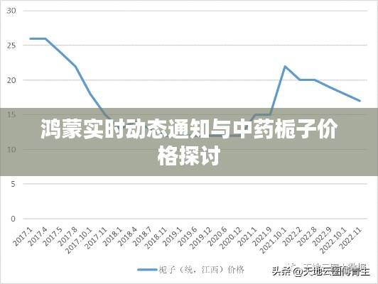鸿蒙实时动态通知与中药栀子价格探讨