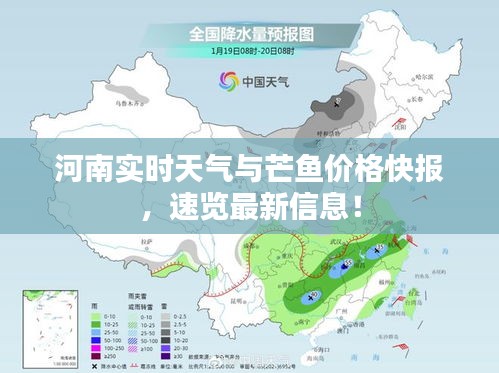 河南实时天气与芒鱼价格快报,速览最新信息!