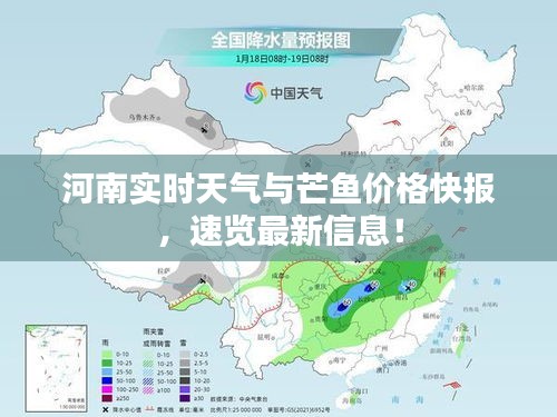 河南实时天气与芒鱼价格快报,速览最新信息!