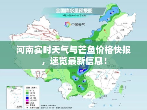 河南实时天气与芒鱼价格快报,速览最新信息!