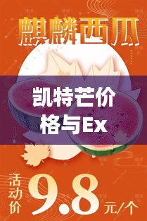 凯特芒价格与Excel实时搜索,最新市场动态掌握在手