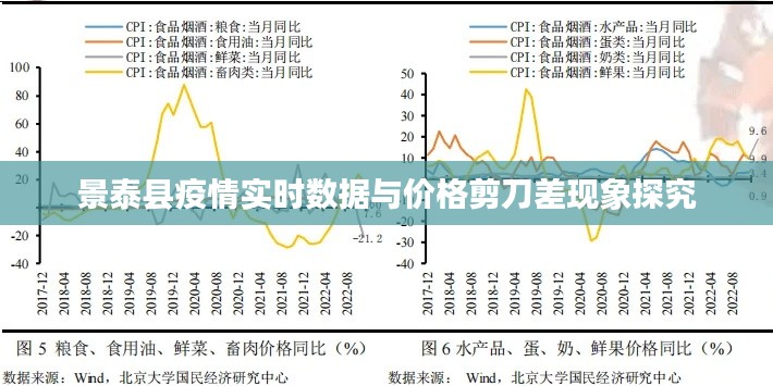 景泰县疫情实时数据与价格剪刀差现象探究