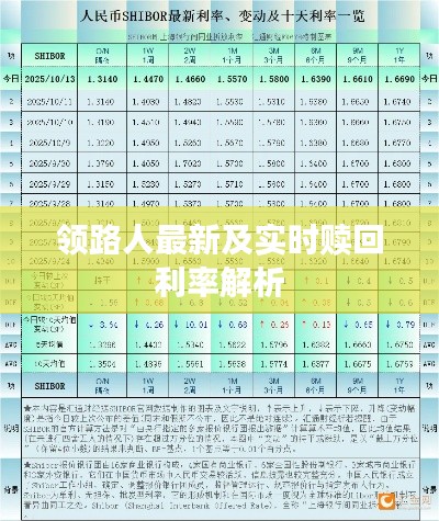 领路人最新及实时赎回利率解析
