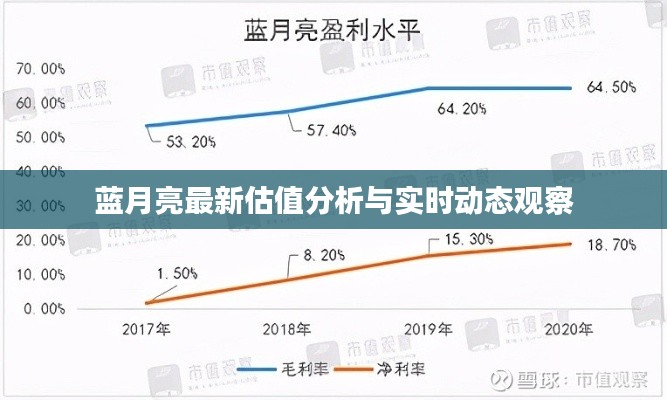 蓝月亮最新估值分析与实时动态观察
