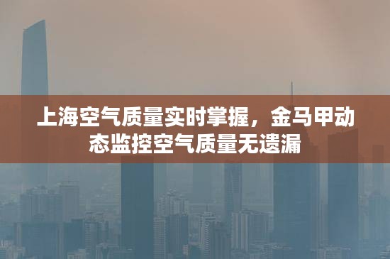 上海空气质量实时掌握,金马甲动态监控空气质量无遗漏