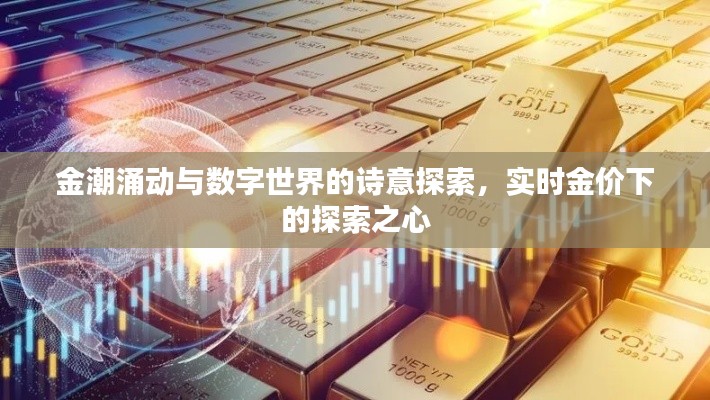 金潮涌动与数字世界的诗意探索,实时金价下的探索之心