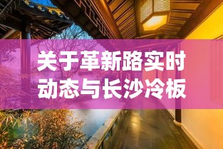 关于革新路实时动态与长沙冷板价格的深度剖析