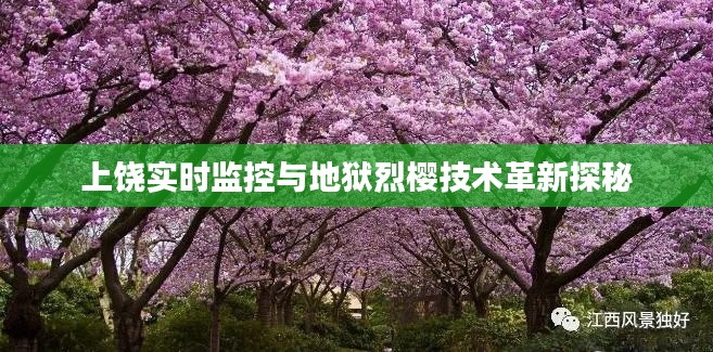 上饶实时监控与地狱烈樱技术革新探秘