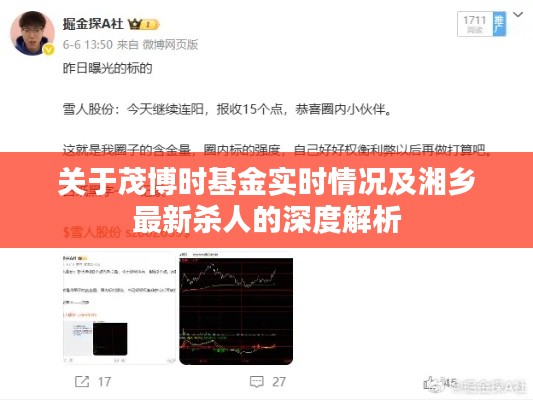 关于茂博时基金实时情况及湘乡最新杀人的深度解析