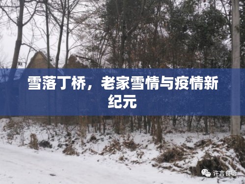 雪落丁桥，老家雪情与疫情新纪元