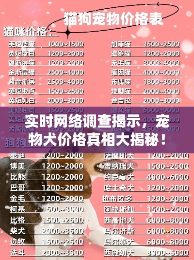 实时网络调查揭示,宠物犬价格真相大揭秘!