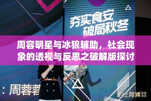周容明星与冰狼辅助，社会现象的透视与反思之破解版探讨