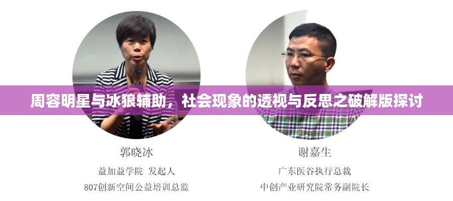 周容明星与冰狼辅助,社会现象的透视与反思之破解版探讨