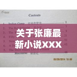 关于张廉最新小说XXXX2017年海内外实时评论的释义、实践与警示