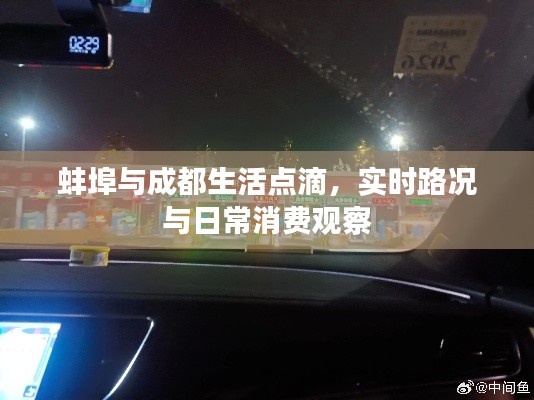 蚌埠与成都生活点滴,实时路况与日常消费观察