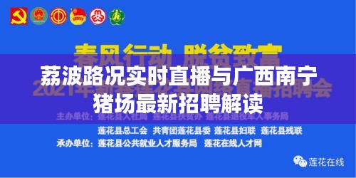 荔波路况实时直播与广西南宁猪场最新招聘解读