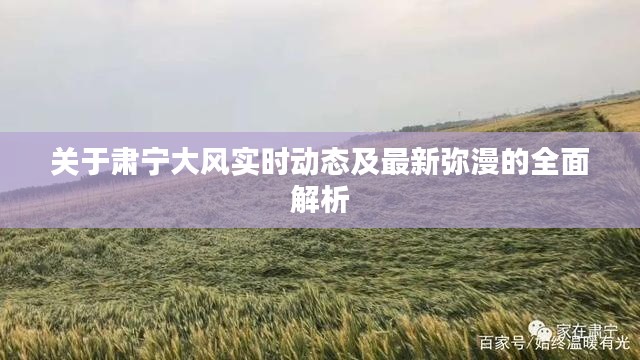 关于肃宁大风实时动态及最新弥漫的全面解析