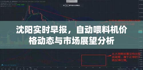 沈阳实时早报,自动喂料机价格动态与市场展望分析