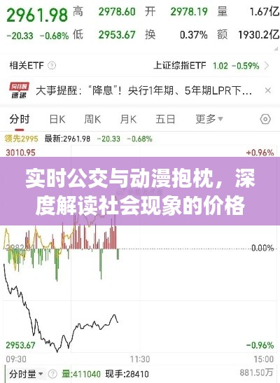 实时公交与动漫抱枕,深度解读社会现象的价格波动
