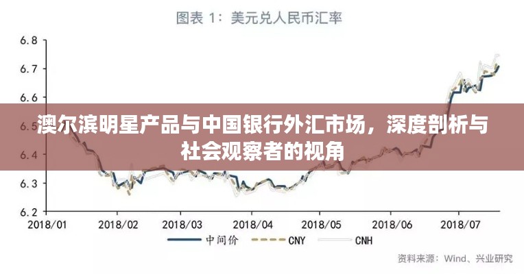 澳尔滨明星产品与中国银行外汇市场,深度剖析与社会观察者的视角
