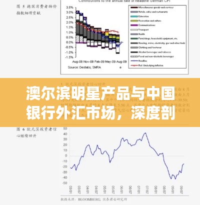 澳尔滨明星产品与中国银行外汇市场,深度剖析与社会观察者的视角
