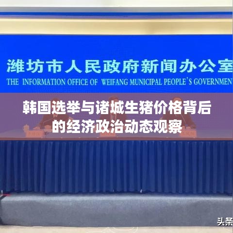 韩国选举与诸城生猪价格背后的经济政治动态观察