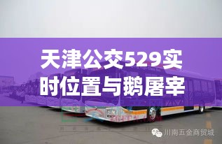 天津公交529实时位置与鹅屠宰场收购价格分析