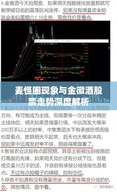 麦怪圈现象与金徽酒股票走势深度解析