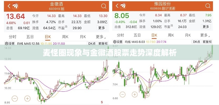 麦怪圈现象与金徽酒股票走势深度解析