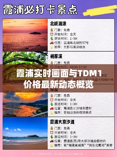 霞浦实时画面与TDM1价格最新动态概览