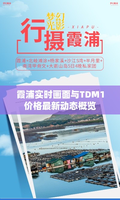 霞浦实时画面与TDM1价格最新动态概览