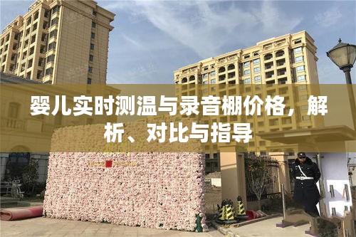 婴儿实时测温与录音棚价格,解析、对比与指导