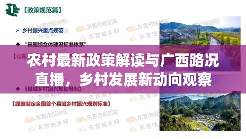 农村最新政策解读与广西路况直播,乡村发展新动向观察