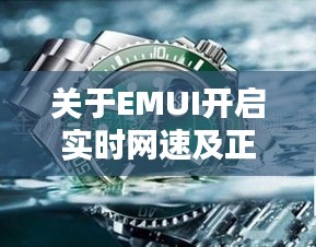 关于EMUI开启实时网速及正品绿水鬼手表价格的相关探讨