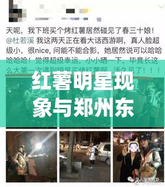 红薯明星现象与郑州东岸尚景发展研究动态分析