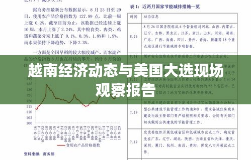 越南经济动态与美国大选现场观察报告