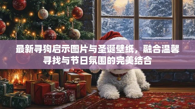 最新寻狗启示图片与圣诞壁纸,融合温馨寻找与节日氛围的完美结合