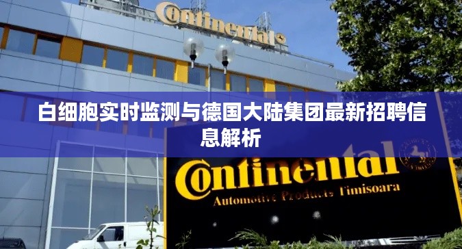 白细胞实时监测与德国大陆集团最新招聘信息解析