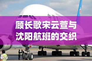 顾长歌宋云萱与沈阳航班的交织命运,韵律中的飞行最新章节