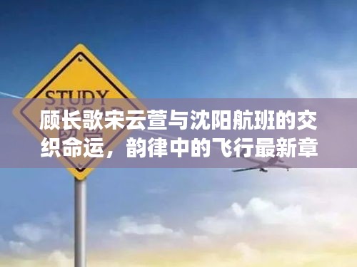顾长歌宋云萱与沈阳航班的交织命运,韵律中的飞行最新章节