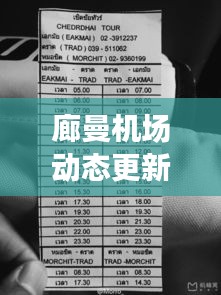 廊曼机场动态更新与徐睿知最新消息速递